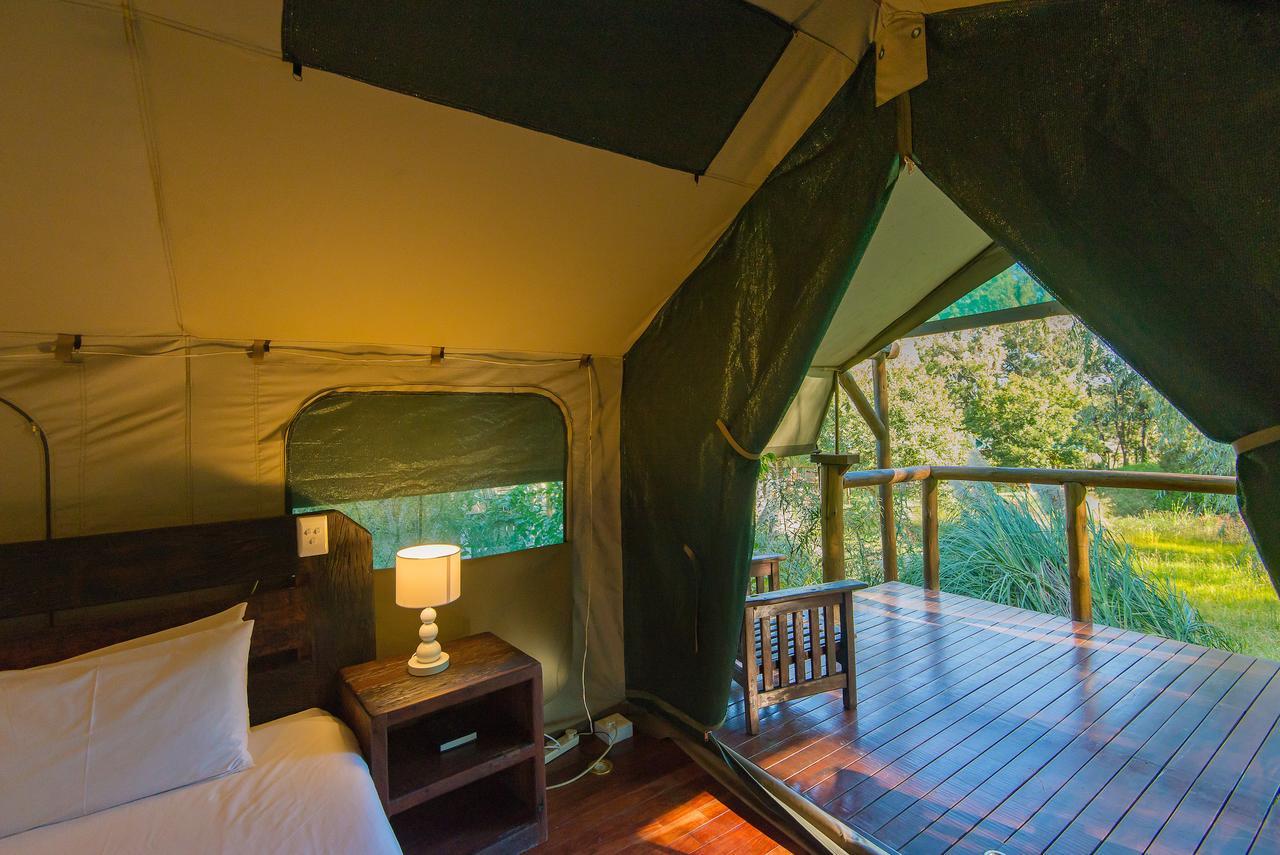 Amadwala Lodge روديبورت الغرفة الصورة