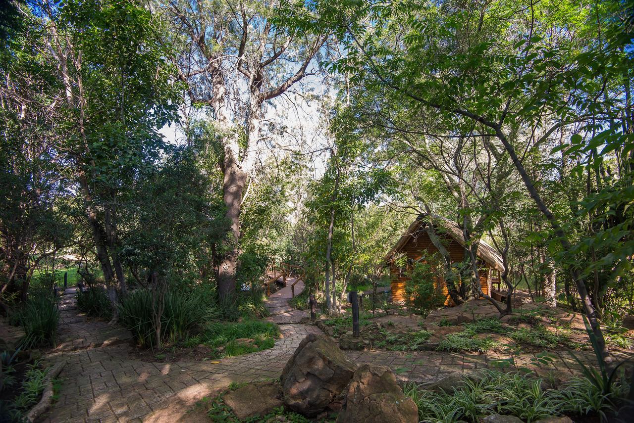 Amadwala Lodge روديبورت المظهر الخارجي الصورة