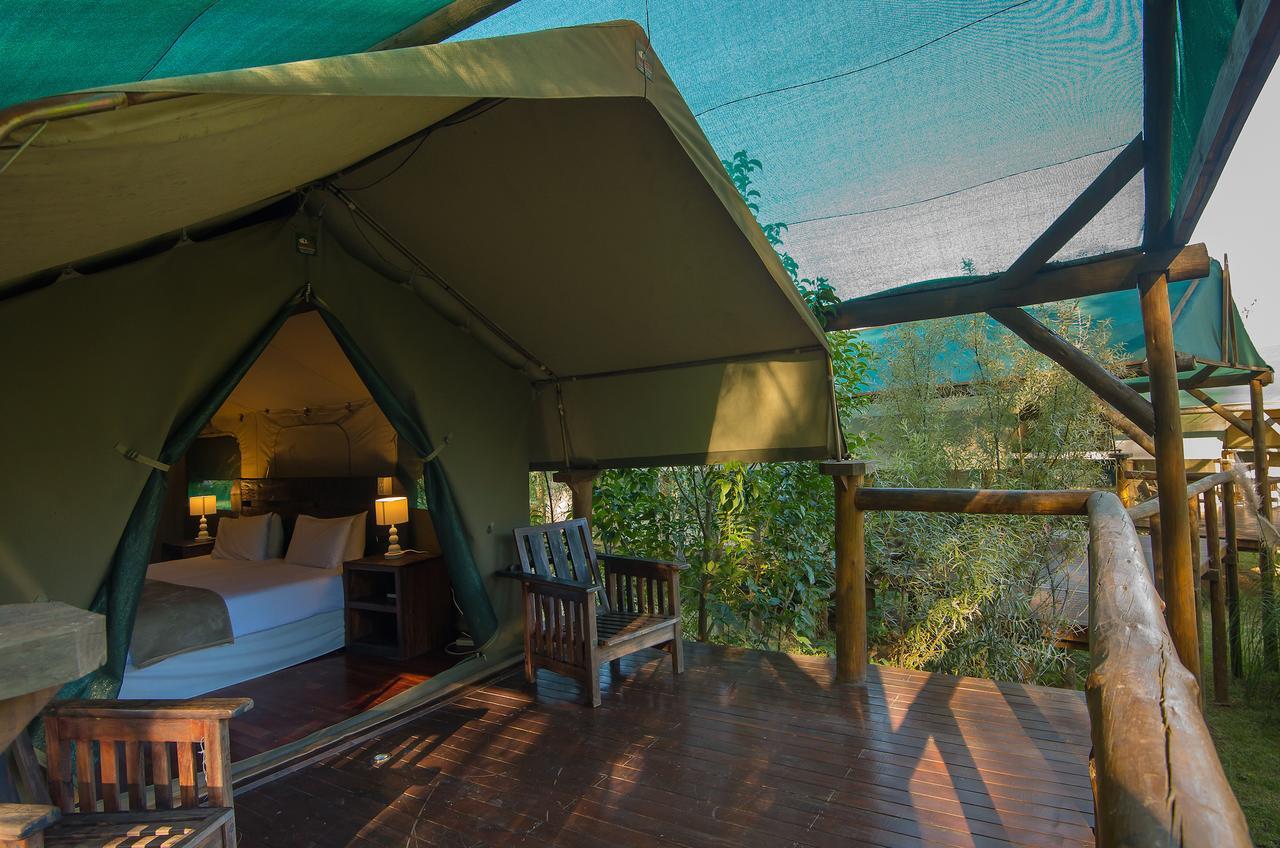 Amadwala Lodge روديبورت الغرفة الصورة